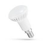 Żarówka LED R-50 E-14 230V 6W Barwa Zimna SpectrumLED WOJ+13989