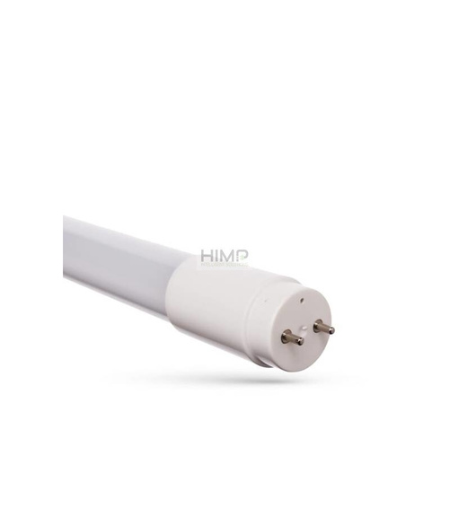 Świetlówka LED TUBE T8 SMD 10W Barwa Ciepła 26X600 1 side power SpectrumLED WOJ+22209