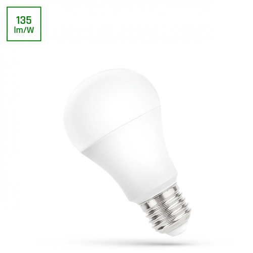 Żarówka LED GLS E-27 24V AC/DC 10W Barwa Zimna SPECTRUM WOJ+14619