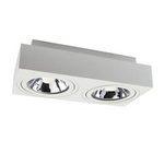 MIRORA AR111 X2 NATYNKOWA GU10 250V IP20 293X145X  85mm BIAŁY prostokątna ruchoma