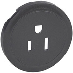 CELIANE - Plakietka do gniazd 2P+Z 15 A - 250 V~ USA grafitowa Legrand 067967