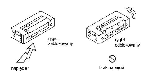 Elektrozaczep R4 12V DC - rewersyjny, bez blokady R4-12.13 Elektra Plus
