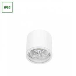 Oprawa Natynkowa Tuba Nieruchoma Chloe AR111 GU10 250V IP65 Biały SpectrumLED SLIP005031